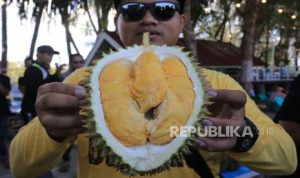 459 Ton Durian RI Laku Rp42,5 Miliar, China Jadi Rebutan | EQUITYWORLD SEMARANG