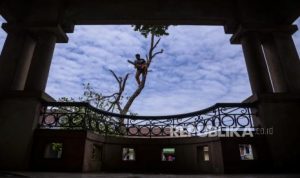 CELIOS Usul Pajak Kekayaan, Bisa Biayai 180 Juta PBI BPJS hingga Gratiskan KRL | EQUITYWORLD SEMARANG