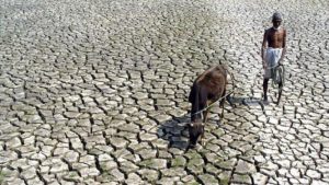 China Sebut El Nino Bisa Memperparah Krisis Energi Global, Kok Bisa? | EQUITYWORLD SEMARANG