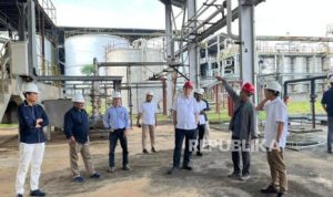 Dukung Ketahanan Pangan dan Energi, PTPN III Kembangkan Hilirisasi Ubi Kayu | EQUITYWORLD SEMARANG