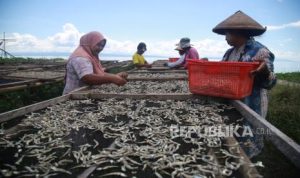 Kemendes Gandeng Mitra Genjot Program Desa Ekspor | EQUITYWORLD SEMARANG