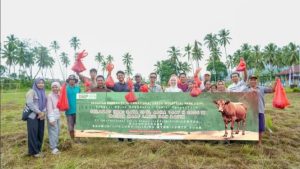 5 Sapi Kurban Diserahkan Buat Warga Morowali | EQUITYWORLD SEMARANG