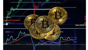Aplikasi Berizin OJK Ini bikin Belajar Aset Kripto Mirip Main Game | EQUITYWORLD SEMARANG