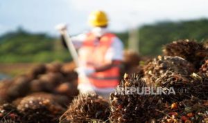 Cuaca dan Harga Pupuk Jadi Tantangan Emiten Sawit | EQUITYWORLD SEMARANG