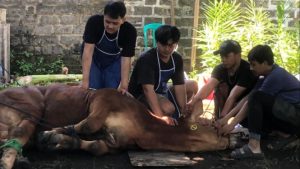 Dari Kulit hingga Tulang, Limbah Kurban Ternyata Bisa Jadi Ladang Bisnis Menjanjikan Usai Idul Adha! | EQUITYWORLD SEMARANG