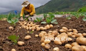 Dolar Melemah Nggak Ngaruh ke Desa? Ini Faktanya | EQUITYWORLD SEMARANG