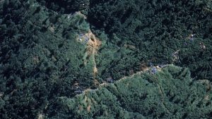 Gunung Emas 53 Juta Ton Ditemukan di Kalimantan, Ternyata… | EQUITYWORLD SEMARANG