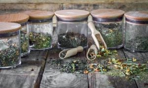 Industri Herbal Nasional Bidik Pasar Global | EQUITYWORLD SEMARANG