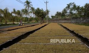 Menkeu Purbaya Didorong Wujudkan KEK Tembakau Madura | EQUITYWORLD SEMARANG