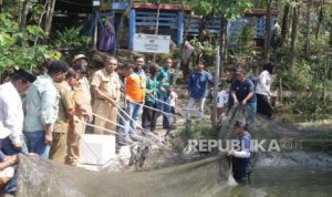 NKA Gelar Panen Perdana Ikan Air Tawar, Dorong Kemandirian Ekonomi Desa Berkelanjutan | EQUITYWORLD SEMARANG