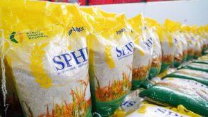 Pemerintah Buka Suara Soal Harga Beras SPHP di Tengah Fluktuasi Kurs Dolar AS | EQUITYWORLD SEMARANG