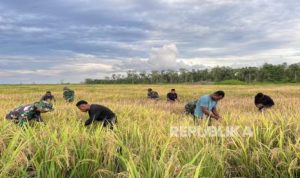 Proyek Pangan Wanam Diharapkan Perkuat Ekonomi Daerah | EQUITYWORLD SEMARANG