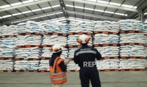 Laba Pupuk Indonesia Melejit 230 Persen, Ini Pendorongnya | EQUITYWORLD SEMARANG