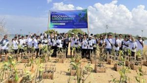 Hari Mangrove Sedunia, PNM Beri Dampak bagi Lingkungan-Ekonomi Pesisir | EQUITYWORLD SEMARANG