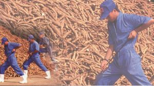 Diam-Diam Pengendali Emiten Ini Borong 204 Juta Saham di Harga Rp210 | EQUITYWORLD SEMARANG