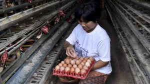 Punya Modal Rp1 Juta? Ini 12 Ide Bisnis yang Bisa Jadi Sumber Cuan Setiap Hari | EQUITYWORLD SEMARANG